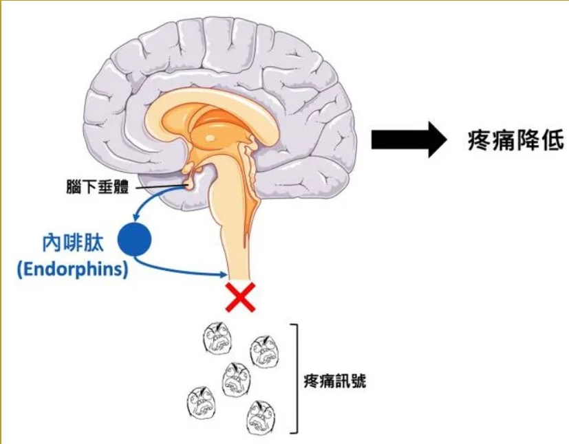1724719007859893.png 微信截图_20240827083616.png